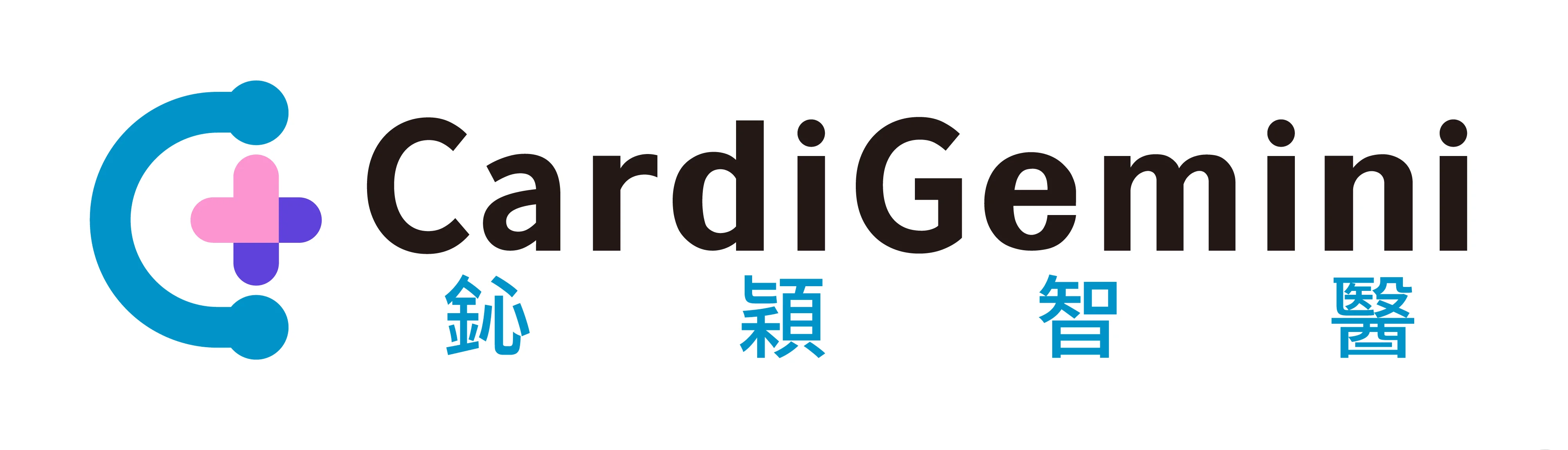 CardiGemini 鈊穎智醫