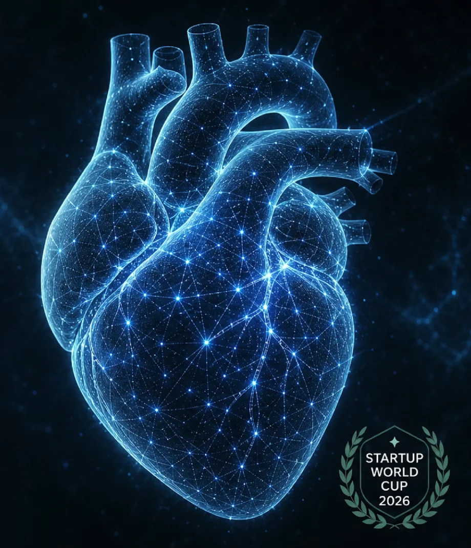 3D mesh heart visualization